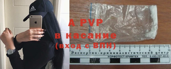 стафф Алексин