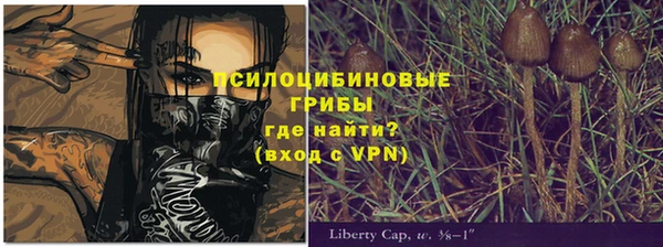 героин Алзамай