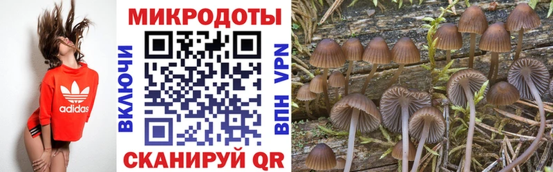 Псилоцибиновые грибы мухоморы  где можно купить   Байкальск 